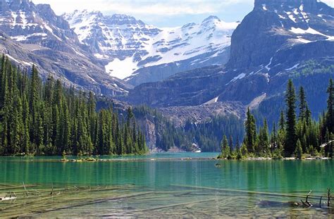 22 Absolute BEST Places to Visit in British Columbia (Suggested .
